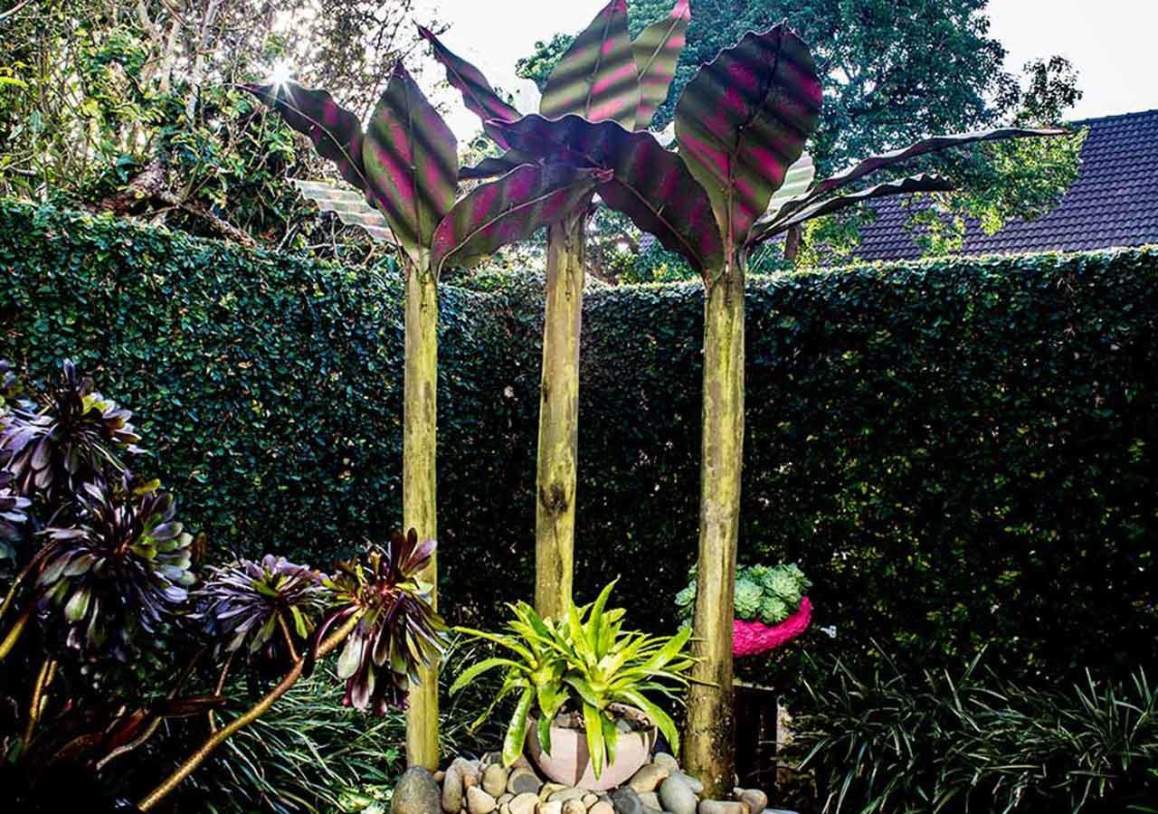 Suite - Vue sur Jardin